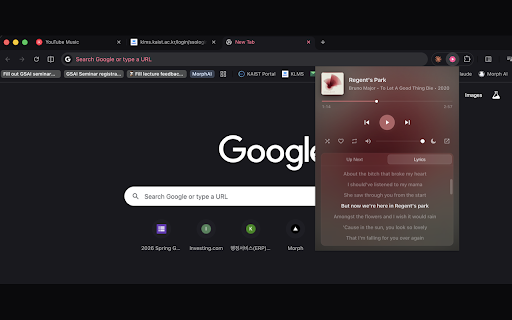 Pink Player — Mini for YouTube Music :: Beautiful mini player for YouTube Music. Adaptive color, synced lyrics, queue, sleep timer, keyboard shortcuts.