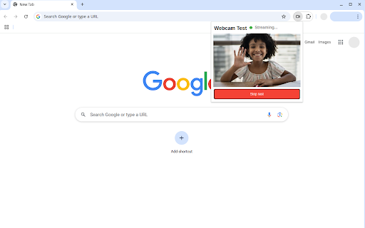 Webcam Test Pro - Check camera online for chrome :: Test your webcam instantly, diagnose issues, fix errors. Perfect for video calls, remote work, and Chrome camera troubleshooting.