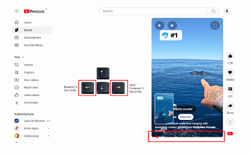 YouTube Shorts Video Controller :: Control YouTube Shorts with your keyboard! Use the arrow keys to fast-forward or rewind videos effortlessly.
