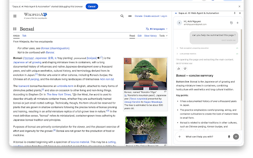 Sapa.ai: AI Web Agent & Automation :: Automate web tasks with AI! Sapa.ai is an open-source browser extension that lets you extract data, fill forms, and more.