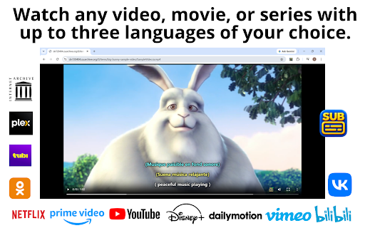 Subreveal – Add subtitles to any video, movie, or series :: Subtitles on any web video or local file: 3 tracks, built-in search, custom fonts, styling and export.