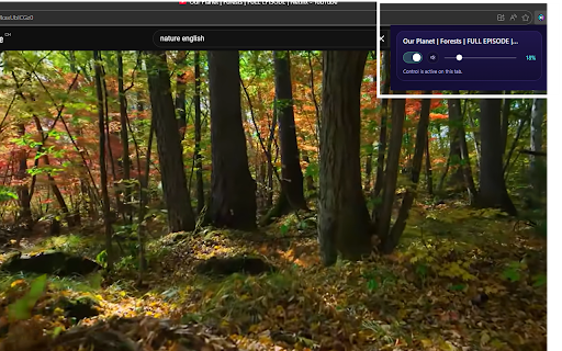 Tab Volume Control :: Control the audio volume of the active tab.