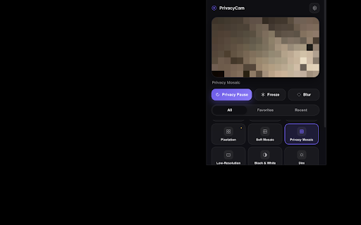 PrivacyCam — Camera Effects for Video Meetings :: Beautiful, local, real-time camera effects for browser video meetings. Blur, pixelate, freeze and more — free, private, no accounts.
