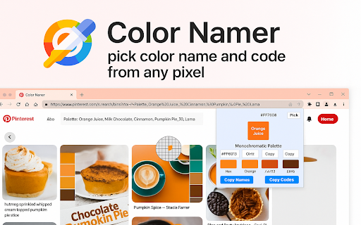 Color Namer :: With Color Namer, pick color name and code from any pixel. Build, export, and share stunning complementary palettes.
