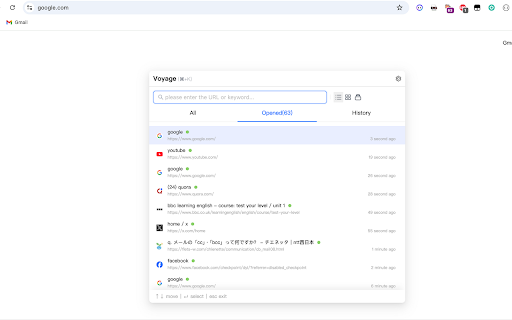 Tab Manager for Voyage 标签管理器 :: Not just a tab manager, any features related to improving browsing efficiency can be updated later, welcome to make requests