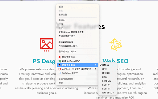 智能编码转换 Set Character Encoding :: 自动检测和转换网页编码,支持多种编码格式