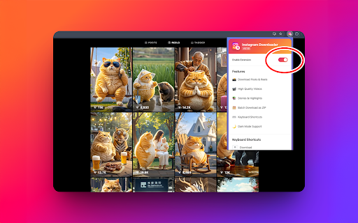 Instagram Downloader :: Download Photos and Videos from Instagram Post, Reels, TV, Stories