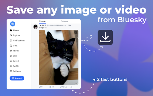 Bluesky Video Downloader — Save Images GIFs :: One-click download for Bluesky. Save images as JPG (not WebP), videos & GIFs in original quality.