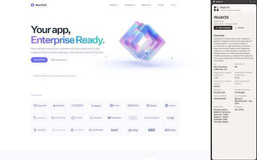 Raylu AI :: Surface Raylu company insights directly from the browser while visiting prospect websites.