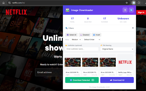 Image Downloader - Bulk Image Downloader & Filter :: Download images from any webpage with advanced filtering, bulk download, and preview features. Fast, easy, and powerful!