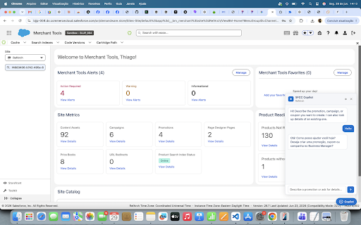 SFCC Copilot :: AI assistant for Salesforce Commerce Cloud Business Manager