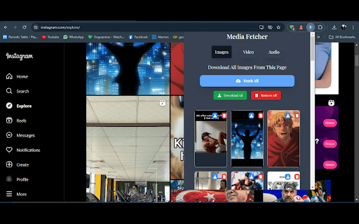 Media Fetcher :: Fetches Images/Videos etc from page
