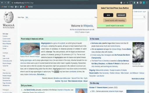 ownDictionary :: Word and its meaning saver