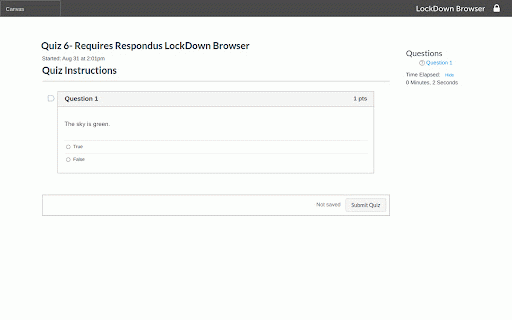 LockItDown Browser :: LockItDown Browser is a custom browser that locks down the exam environment within specific learning and assessment systems