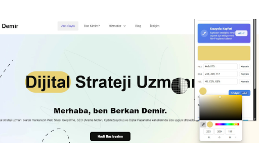 HEX Color Picker 2025 :: Easily pick, copy and save HEX, RGB and HSL color codes from web pages. Advanced color picker tool for professional designers.