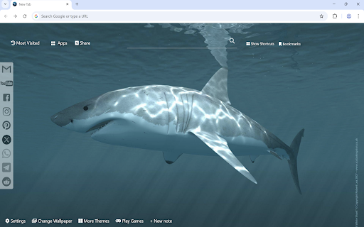 Shark Wallpaper :: Shark wallpaper turn new tab to custom HD Shark background. Shark wallpaper background themes for fans.