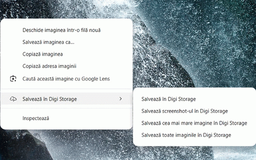 Save to Digi Storage :: Save to Digi Storage extension allows you to save content from the web directly to your Digi Storage account with a single click.