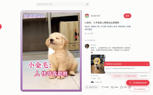 RedNote Downloader :: Download RedNote/Xiaohongshu post text, images, videos, and comments.