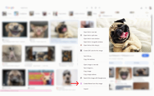 Memezaar - Quick Meme :: Create memes from any image