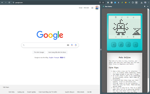Pets Online :: Raise virtual pets with 'Pet Pals' Chrome Extension! Care, play, and customize your pet right in the side panel.