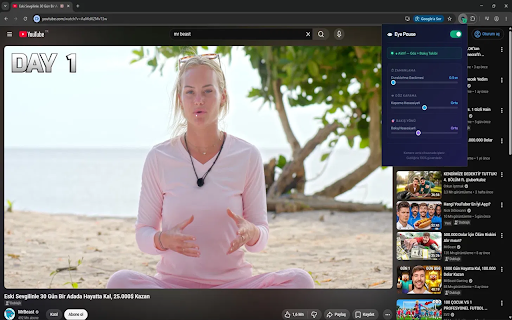 Eye Pause :: Control video playback using eye and hand gestures — no touch needed