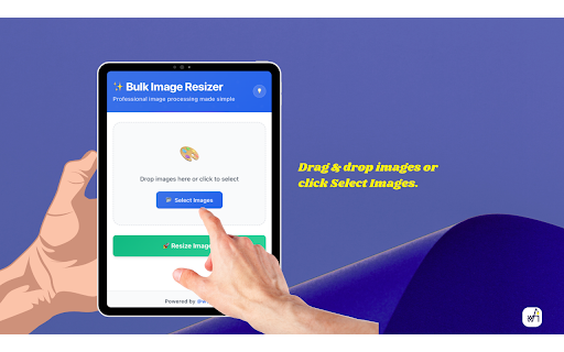 Bulk Image Resizer :: Fast bulk image resizing tool with multiple format support