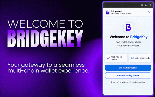 BridgeKey :: Multi chain crypto wallet for 95+ EVM compatible chains.