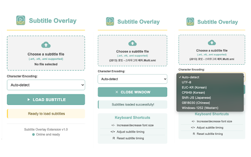 Subtitle Overlay :: Overlay subtitles on any video with customizable appearance and timing controls
