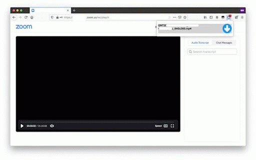 Zoom Download Extension :: Download Zoom recordings directly from authenticated share and play pages.