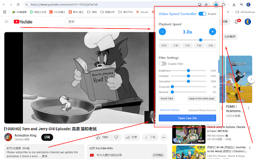 Video Speed Controller :: Compatible with almost all video and audio streaming websites, control web video playback speed and filter effects