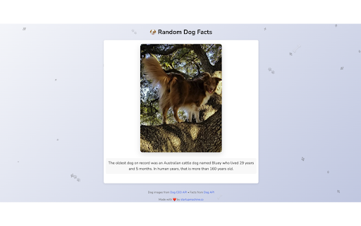 Surprise Tab :: Get a surprise fact, joke, or history tidbit every time you open a new tab!