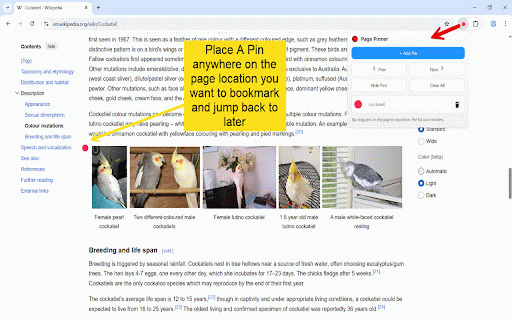 Page Pinner — visual bookmarks :: Drop pins anywhere on a page and jump back to them later.