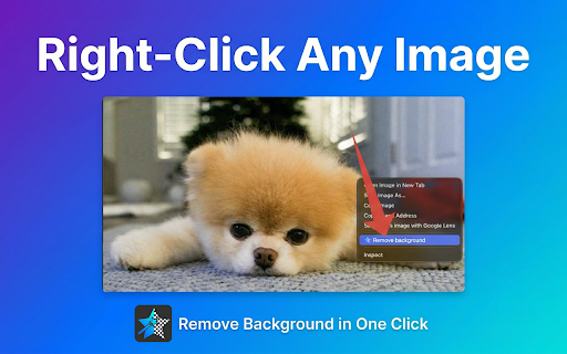 Remove background in one click :: Right-click any image to remove its background instantly. Private, on-device processing — no uploads needed.