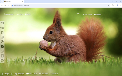 Squirrel Wallpaper :: Squirrel Wallpaper turn new tab to custom Squirrel background. Cute Squirrel wallpaper background theme for animal fans.