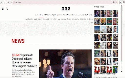 Image Downloader :: Allows users to download any visible images on the current page.