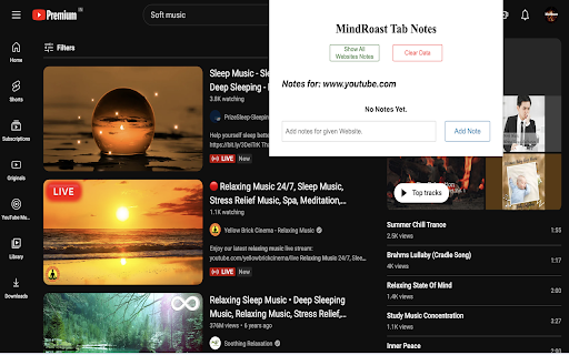 MindRoast Tab Notes :: Extension can provide you with option to keep notes per website.