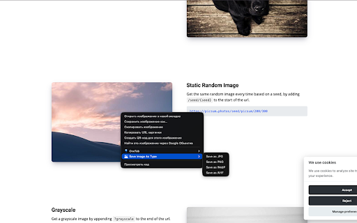 Save Image As Type :: Save any web image as JPG, PNG, WebP, or AVIF. Privacy-first, no affiliate injection.