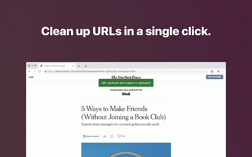 Sanitize It :: Remove tracking information from the current page and automatically copy the URL to your clipboard.
