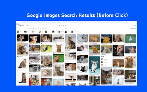 View original image from Google Images :: Clicking on a thumbnail in a Google Images search will automatically take you to the full-size original image, skipping the preview…
