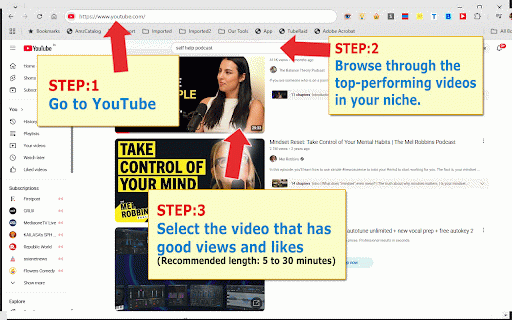 TubeProfits, YouTube Transcript to AI Content Creator :: Turn YouTube video transcripts into text summaries and AI-generated content.