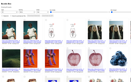 Bundle Bee - Asset URL Extractor :: Extract all image and video URLs from the current page.