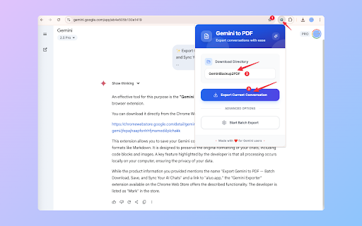 Gemini to PDF - Batch Export :: Bulk Export all your Gemini conversations to PDF files with one click