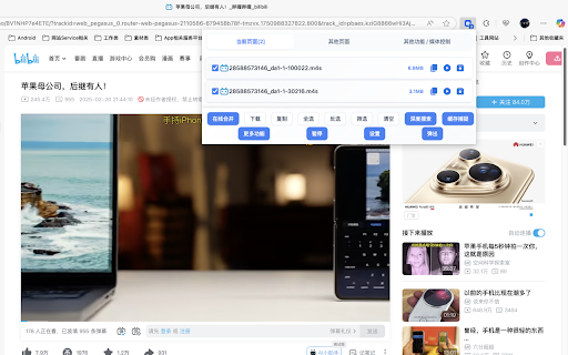 MagicalDownloader :: Web media sniffing tool