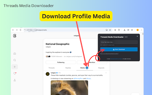 Threads Media Downloader :: Easily bulk download every image and video from any Threads profile.