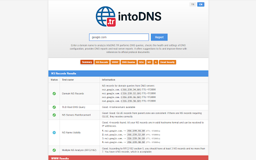 IntoDNS - DNS Analyzer :: Analyze DNS settings of any website instantly with IntoDNS.TR