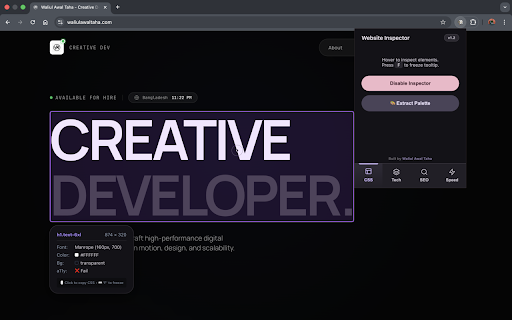 Website Inspector :: The ultimate developer toolkit.
