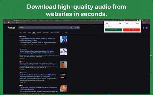 Audio Downloader Extension :: Activate this extension to detect and download all audio files from any webpage instantly .