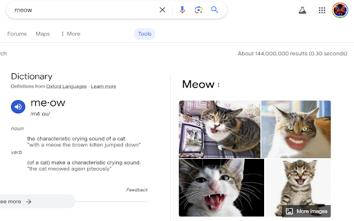 Return Search Results :: Returns and displays the number of results for your Google search.