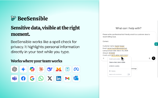 BeeSensible :: AI-powered PII detection and protection for ChatGPT, Claude, Gemini, Gmail, Outlook, and more