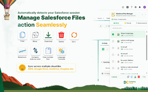 Salesforce Files Manager :: Bulk Salesforce files: Download, delete, copy, move, sync, compare, watermark, merge, & translate. Automate your workflow today.